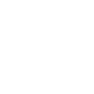 Liberty and Justice Firearms