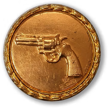 Gun on coin