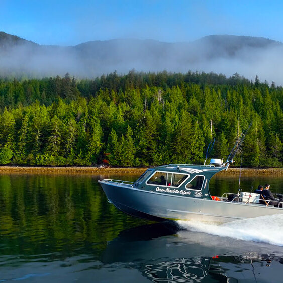 replace-Your-Adventure-Awaits